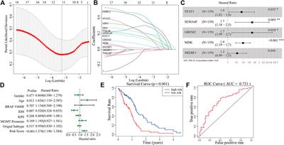 Identification of an Immune-Related Prognostic Risk Model in Glioblastoma